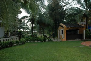 Garden View Garden View