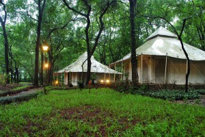 Tent Tent