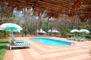 Swimming Pool Swimming Pool