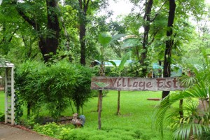 Entrance Entrance