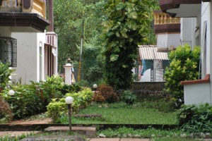 Greenery Greenery
