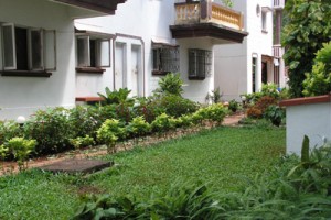 Garden Garden