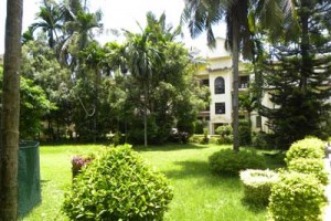 Lawn Lawn