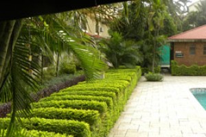 Garden Garden