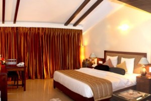 Room Room