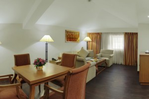 Suite: Living Room Suite: Living Room