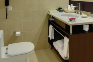Suite: Bathroom Suite: Bathroom