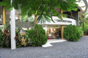 Entrance Entrance