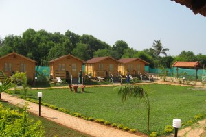 Panoramic view