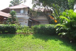Lawn