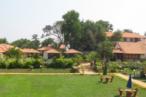 Greenery