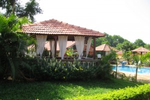 By the lush lawn