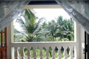 Nature Nature