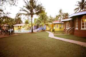 Lawn