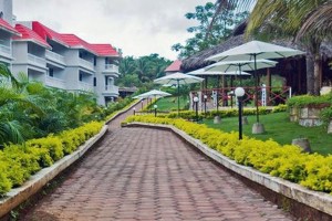 Lawn and pathway Lawn and pathway