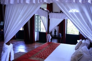 Macao Bed