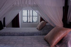 Bahia beds