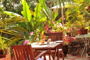 Dining amidst greenery Dining amidst greenery