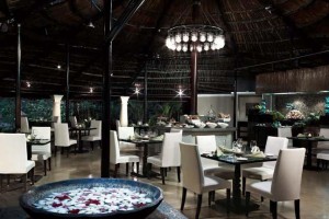 Restaurant Restaurant