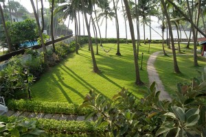 Lawn