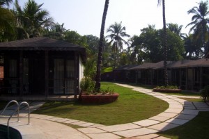 Lawn