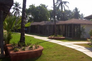 Greenery