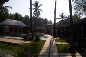 Evening view