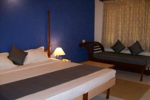 Deluxe Room with Single Balcony_2