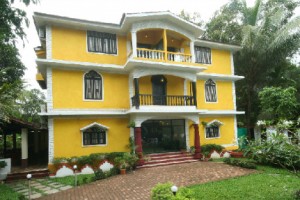 Front View_2