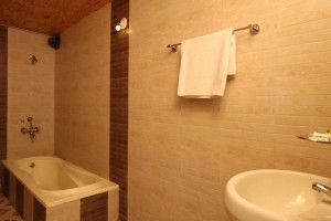 Super-deluxe-washroom