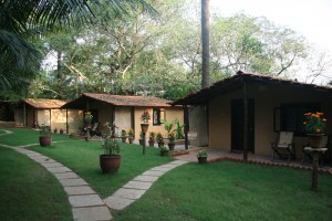 Lawn Lawn