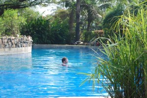 Pool with Lemongrass