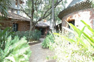 Path Among Cottages