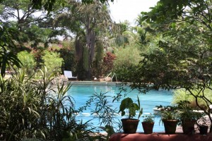 Lush Pool View