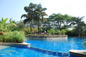 Kid's Pool