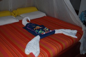Fun Towels