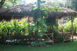 Covered Mud Pool
