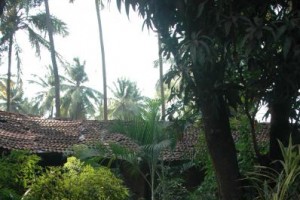 Courtyard Path