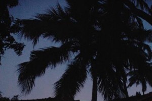 Courtyard By Night