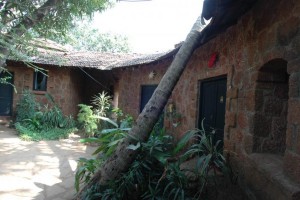 Central Courtyard Trees