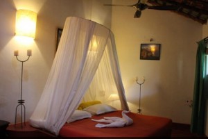 1 Bedroom Cottage Suite