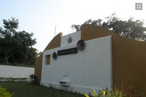Side View