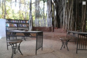 Library in open area