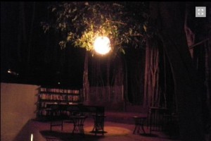 Library by evening