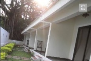 Lawn