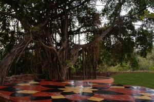 Meditation Point Meditation Point