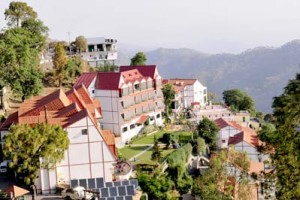 Overview Overview