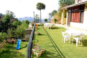 Garden Garden