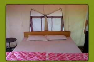 Bed Bed