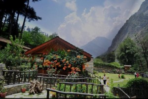 Garden area